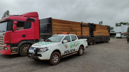 Motorista e empresa sÃ£o multados em mais de R$ 32 mil por transporte irregular de madeira