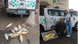 Homem Ã© autuado em R$ 1,4 mil por pesca ilegal no Rio AguapeÃ­, em LucÃ©lia