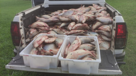 PM Ambiental apreende meia tonelada de peixes e trÃªs homens sÃ£o multados em R$ 32,5 mil