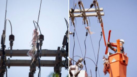 Pipa enroscada na rede elÃ©trica deixa 168 imÃ³veis sem energia em Osvaldo Cruz