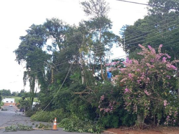 Falta de energia atinge metade de Sagres no domingo de Páscoa