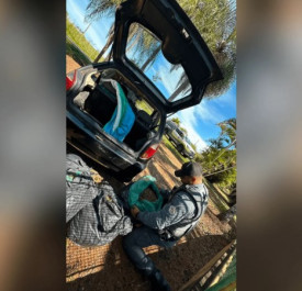 Ao transportar mais de 30kg de skunk em sacos plÃ¡sticos, homem Ã© preso na Rodovia OlÃ­mpio Ferreira da Silva