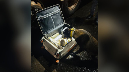Homem Ã© preso com com tabletes de skunk avaliados em R$ 78 mil