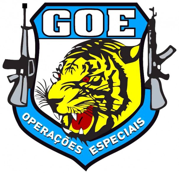 GOE apreende armas de fogo e munies em Parapu