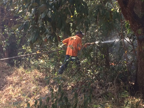 Incndio atinge 12 mil m de rea de Preservao Permanente na represa de Martinpolis