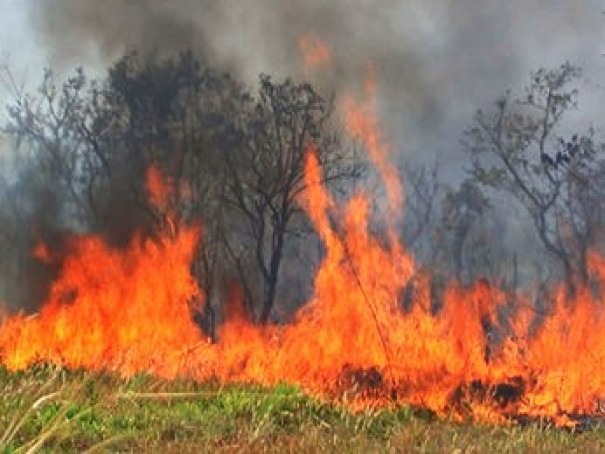 Indivduos ateiam fogo em propriedade rural em Osvaldo Cruz