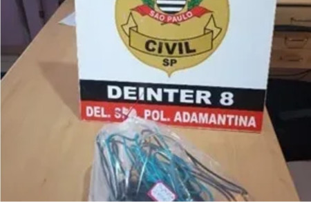 PACAEMBU: PolÃ­cia Civil esclarece furto e recupera objetos