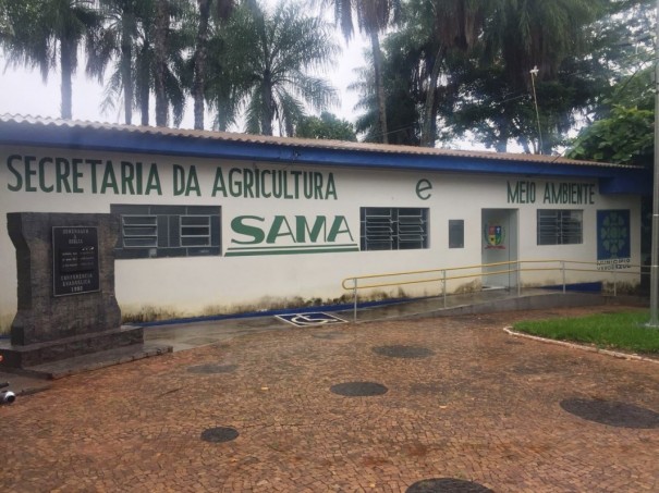 Secretaria de Agricultura e Meio Ambiente de OC autorizou supresso de rvores na Escola Alice Bernardes da Silva