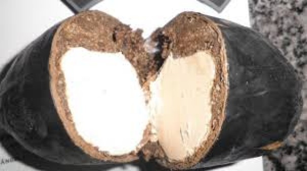 Duas mulheres foram detidas com entorpecentes na penitenciria de Luclia