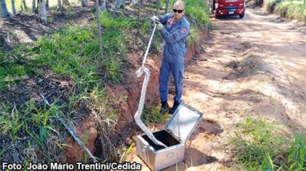 Bombeiros de Tup resgataram Ourio-Cacheiro e Jibia