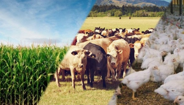 Adamantina sedia o 1� F�rum Regional de Agricultura