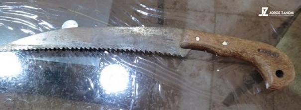 Bandidos invadem resid�ncia e rendem funcion�ria com serrote em Dracena