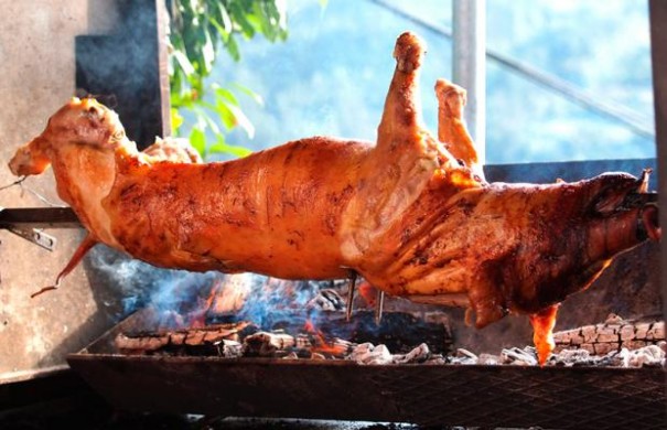 APAE promove o 17 Porco no Rolete