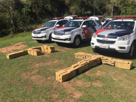 Operação da Polícia Militar apreende quase 400 kg de maconha em sítio na zona rural de Presidente Prudente
