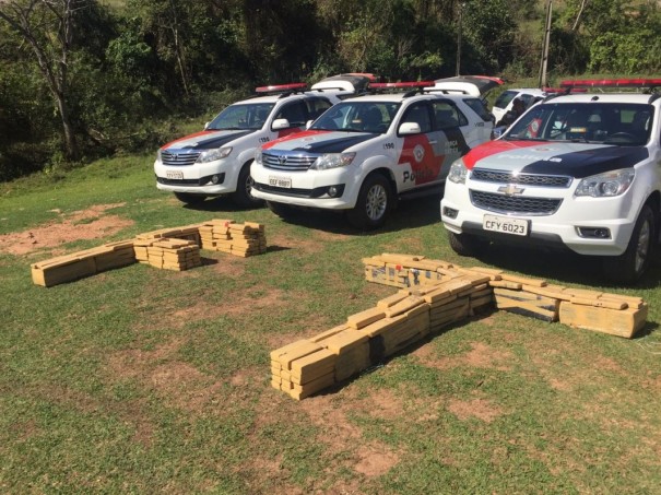 Operao da Polcia Militar apreende quase 400 kg de maconha em stio na zona rural de Presidente Prudente