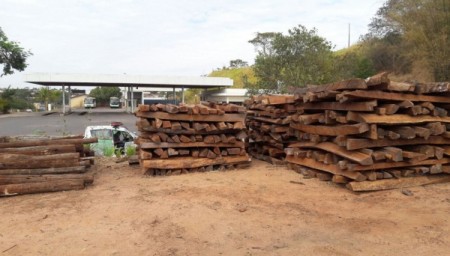 Polícia Ambiental apreende madeira irregular e autua infrator em Osvaldo Cruz