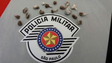 Polícia Militar faz nova apreensão de maconha em Adamantina