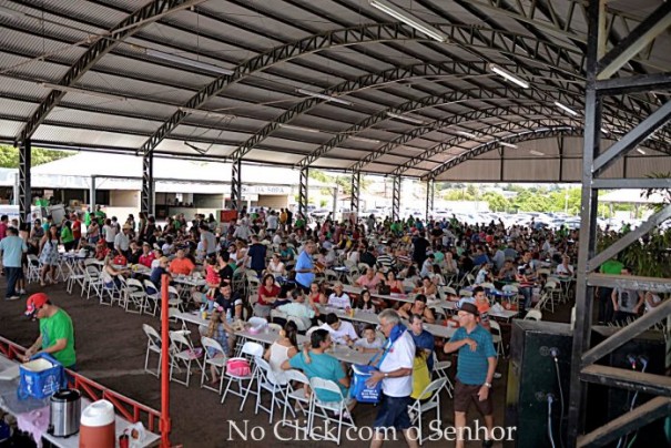 Leilo de gado arrecada mais de R$ 100 mil para manuteno do PAI Nosso Lar