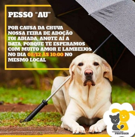 Chuva: feira de adoção de animais é adiada