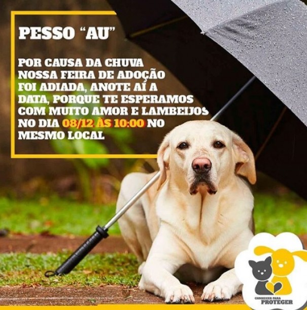 Chuva: feira de adoo de animais  adiada