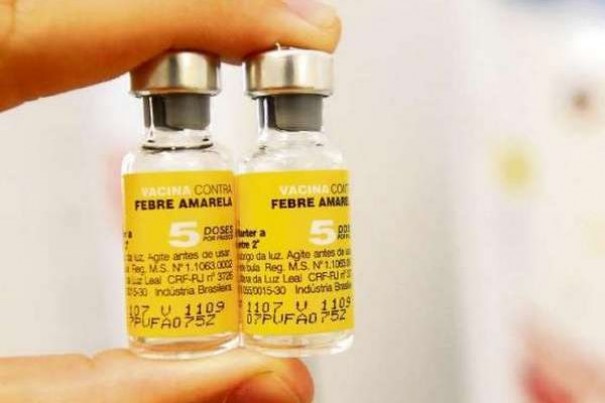 Ministrio pede imunizao contra Febre Amarela antes do vero