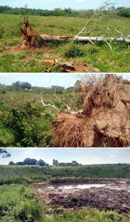 Homem é autuado por corte irregular de árvores e dificultar regeneração de Área de Preservação Permanente
