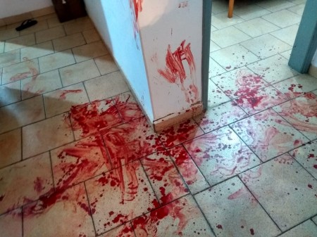 Utilizando machadinha, idoso tenta contra a vida da filha em OC