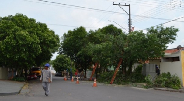 ANEEL aprova projeto que vai transformar restos de podas de �rvores e de alimentos em adubo