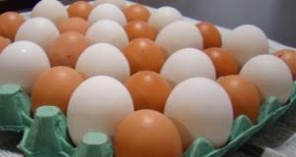 Homem  preso depois de furtar ovos de granja em Osvaldo Cruz