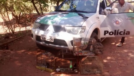 Polícia Ambiental resgata pássaros e apreende armas de fogo em Mariápolis