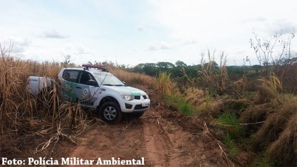Polcia Militar Ambiental constata queimada na zona rural de Rinpolis