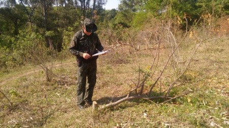 Corte e suspeita de envenenamento de árvores nativas em chácara rendem multa de R$ 11,7 mil em Osvaldo Cruz