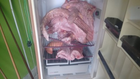 Polícia Ambiental apreende 25 kg de carne de jacaré e multa homem em Panorama