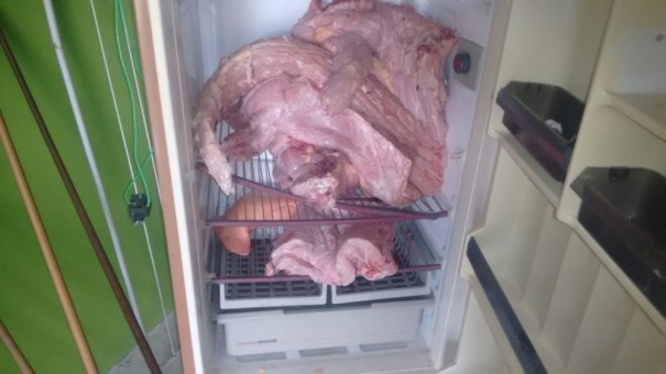 Polcia Ambiental apreende 25 kg de carne de jacar e multa homem em Panorama