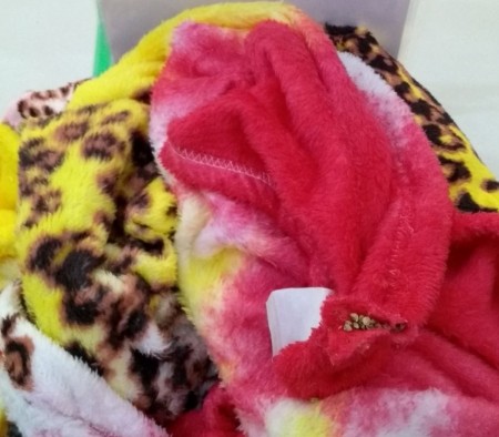 Mãe envia ao filho preso na Penitenciária de Tupi Paulista cobertor recheado com maconha