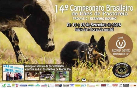 14º Campeonato Brasileiro de Cães de Pastoreio é realizado na Fazenda Oroitê