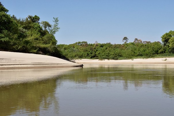 Parque Estadual do Aguape abre exposio 'Bicho: Quem te viu, quem te v' em Nova Independncia