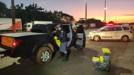 Polícia apreende quase uma tonelada de maconha escondida em caminhonete no interior de SP