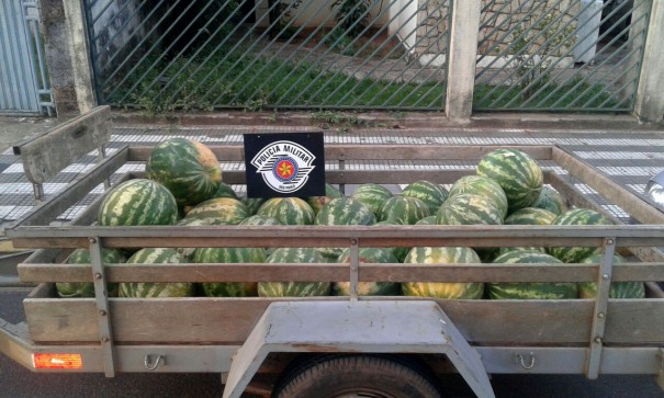 Polcia Militar detm vrias pessoas por furto de melancia em propriedade rural de Osvaldo Cruz